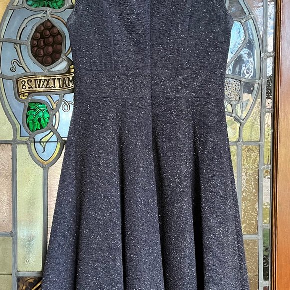 Eliza J Blue Embellished Fit and Flare Sleeveless Dress - Picture 2 of 9